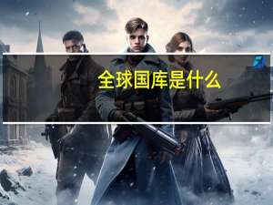 全球国库是什么