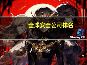 全球安全公司排名