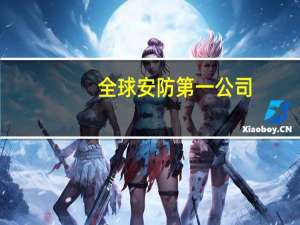 全球安防第一公司