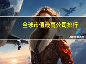 全球市值最高公司排行