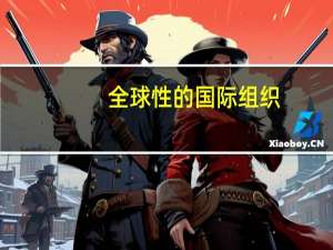 全球性的国际组织