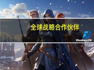 全球战略合作伙伴