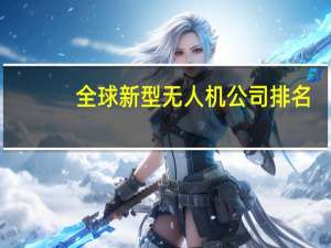 全球新型无人机公司排名