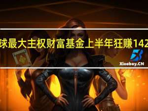 全球最大主权财富基金上半年狂赚1426亿美元
