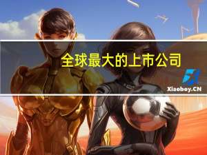 全球最大的上市公司