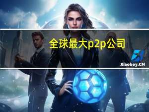 全球最大p2p公司