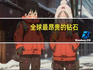 全球最昂贵的钻石