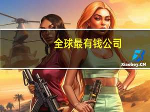 全球最有钱公司