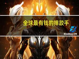 全球最有钱的摔跤手