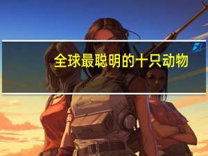 全球最聪明的十只动物