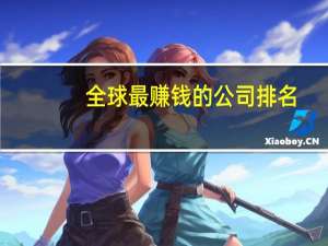 全球最赚钱的公司排名
