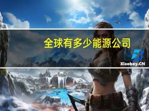 全球有多少能源公司