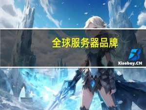 全球服务器品牌
