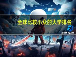 全球比较小众的大学排名