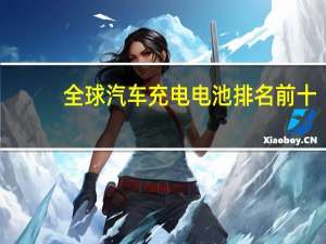 全球汽车充电电池排名前十