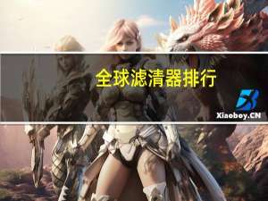 全球滤清器排行