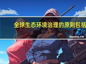 全球生态环境治理的原则包括
