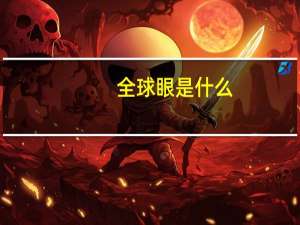 全球眼是什么