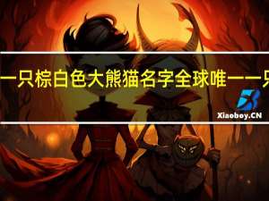 全球第一只棕白色大熊猫名字 全球唯一一只棕色大熊猫
