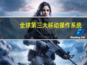 全球第三大移动操作系统