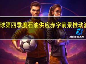 全球第四季度石油供应赤字前景推动油价上涨