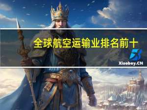 全球航空运输业排名前十