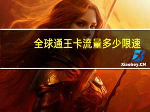 全球通王卡流量多少限速