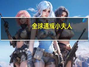 全球通缉小夫人（qq偷鸡小分队）