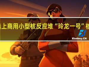 全球首个陆上商用小型核反应堆“玲龙一号”核心模块吊装成功