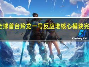 全球首台玲龙一号反应堆核心模块完成吊装