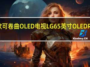 全球首款可卷曲OLED电视LG65英寸OLEDR正式限量开售