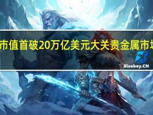 全球黄金市值首破20万亿美元大关 贵金属市场树立新里程碑