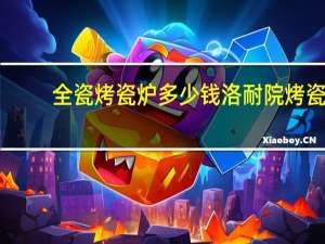 全瓷烤瓷炉多少钱 洛耐院烤瓷炉说明书