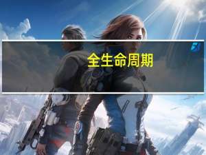 全生命周期