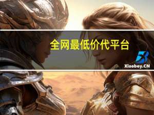 全网最低价代平台 - 拼多多帮点平台