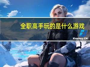 全职高手玩的是什么游戏（全职高手玩的是什么游戏）