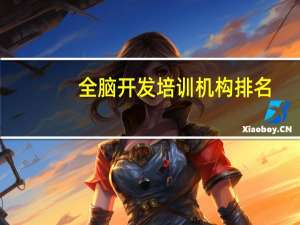 全脑开发培训机构排名