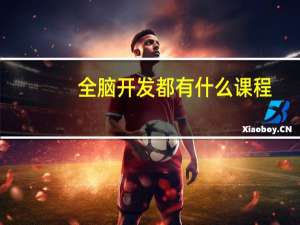 全脑开发都有什么课程