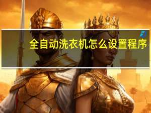 全自动洗衣机怎么设置程序