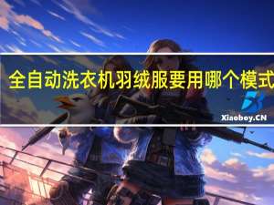全自动洗衣机羽绒服要用哪个模式洗涤