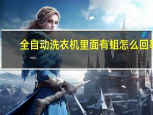 全自动洗衣机里面有蛆怎么回事
