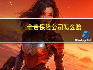 全责保险公司怎么赔
