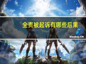 全责被起诉有哪些后果