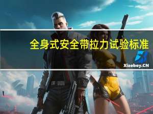 全身式安全带拉力试验标准