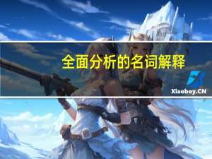 全面分析的名词解释