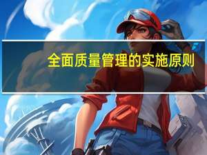 全面质量管理的实施原则