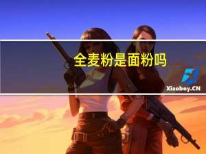 全麦粉是面粉吗