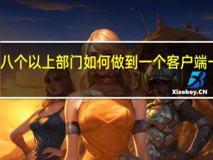 八个以上部门如何做到一个客户端一个ip？