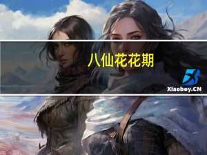 八仙花花期