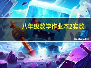 八年级数学作业本2 实数